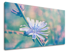 Dipinto murale FIORI | varie dimensioni
