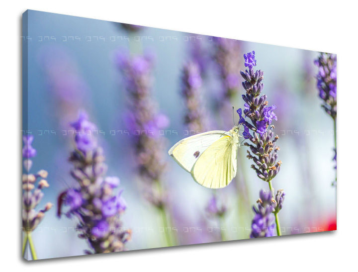 Dipinto murale FIORI | varie dimensioni