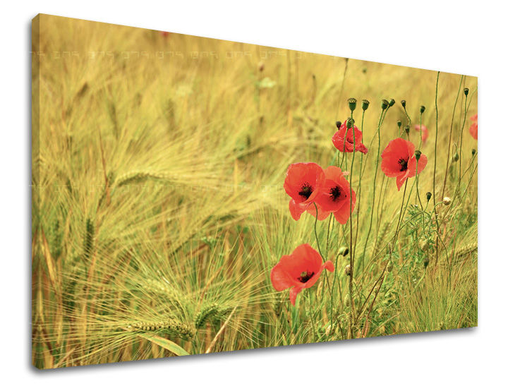 Dipinto murale FIORI | varie dimensioni