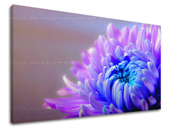 Dipinto murale FIORI | varie dimensioni