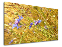 Dipinto murale FIORI | varie dimensioni