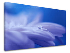 Dipinto murale FIORI | varie dimensioni