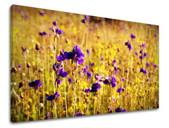 Dipinto murale FIORI | varie dimensioni