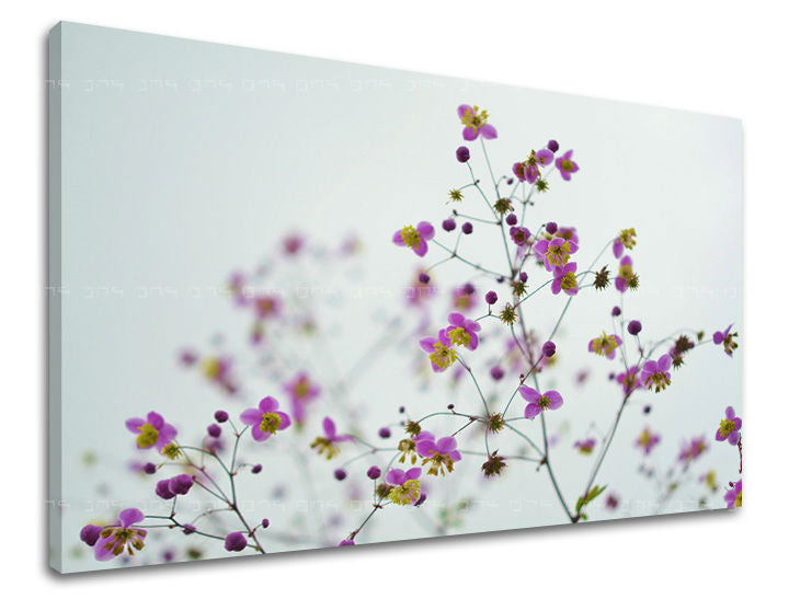 Dipinto murale FIORI | varie dimensioni