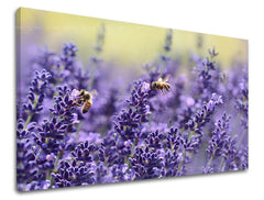 Dipinto murale FIORI | varie dimensioni