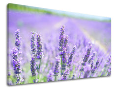 Dipinto murale FIORI | varie dimensioni