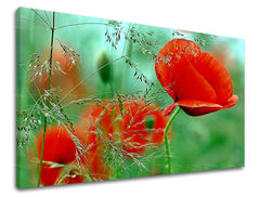 Dipinto murale FIORI | varie dimensioni