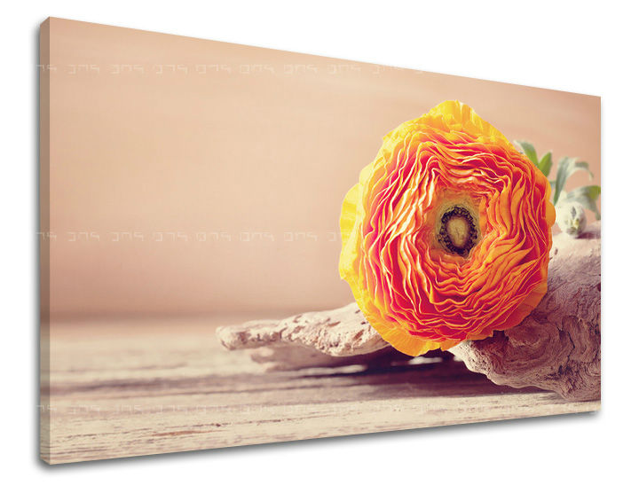Dipinto murale FIORI | varie dimensioni