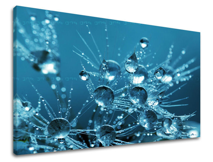Dipinto murale FIORI | varie dimensioni