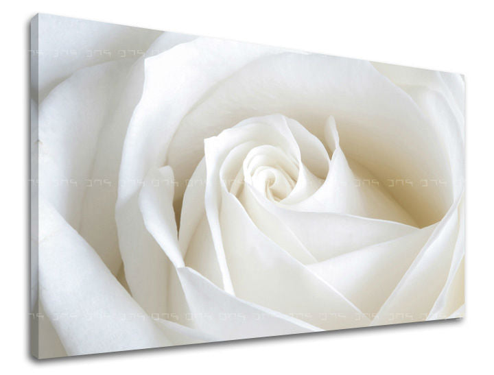 Dipinto murale FIORI DI ROSE | varie dimensioni