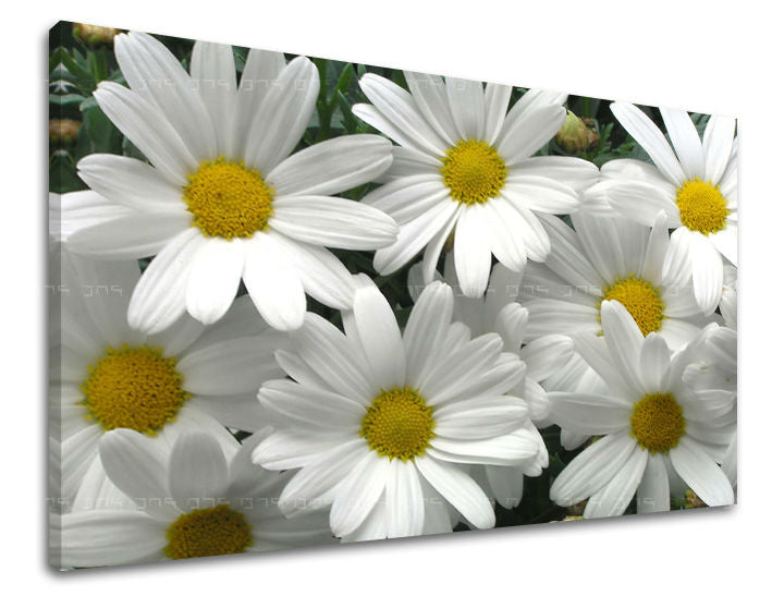 Dipinto murale FIORI | varie dimensioni