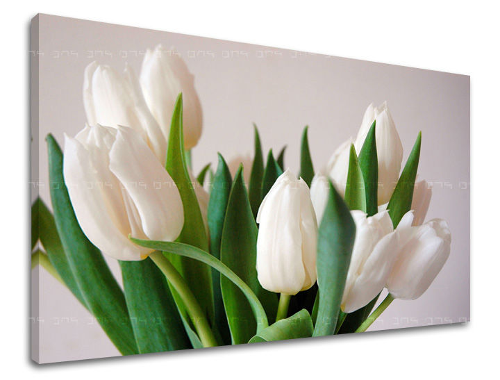Dipinto murale FIORI DI TULIPANO | varie dimensioni