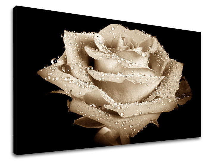 Dipinto murale FIORI DI ROSE | varie dimensioni