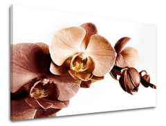 Dipinto murale FIORI | varie dimensioni