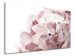 Dipinto murale FIORI | varie dimensioni
