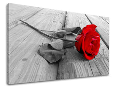 Dipinto murale FIORI DI ROSE | varie dimensioni