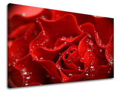 Dipinto murale FIORI DI ROSE | varie dimensioni
