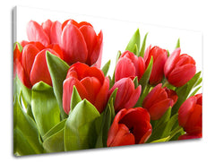 Dipinto murale FIORI DI TULIPANO | varie dimensioni