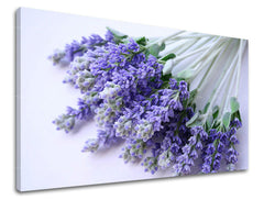 Dipinto murale FIORI | varie dimensioni