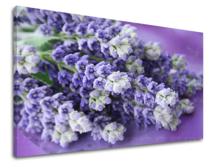 Dipinto murale FIORI | varie dimensioni