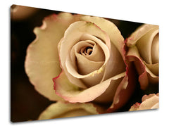 Dipinto murale FIORI DI ROSE | varie dimensioni