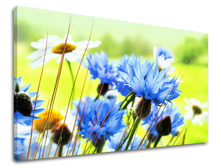 Dipinto murale FIORI | varie dimensioni