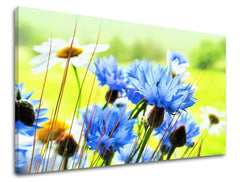 Dipinto murale FIORI | varie dimensioni