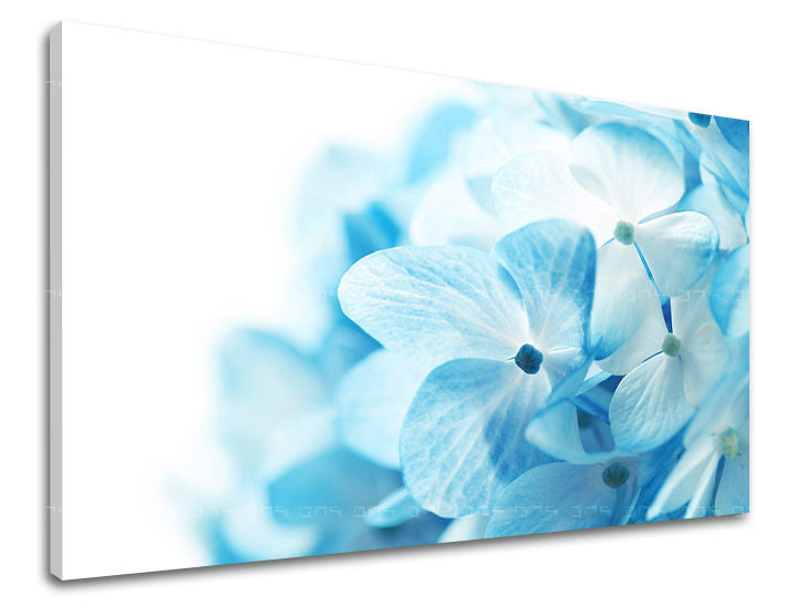Dipinto murale FIORI | varie dimensioni