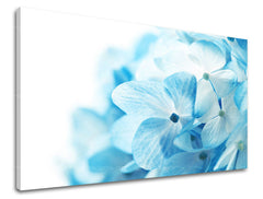 Dipinto murale FIORI | varie dimensioni