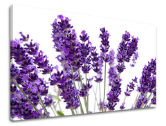 Dipinto murale FIORI | varie dimensioni