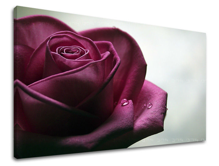 Dipinto murale FIORI DI ROSE | varie dimensioni