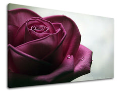 Dipinto murale FIORI DI ROSE | varie dimensioni