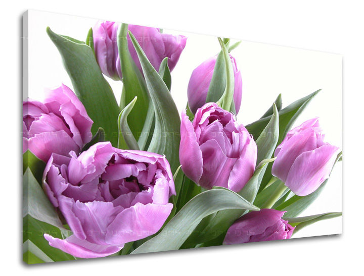 Dipinto murale FIORI DI TULIPANO | varie dimensioni