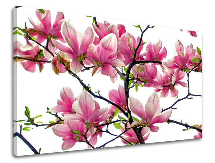 Dipinto murale FIORI | varie dimensioni