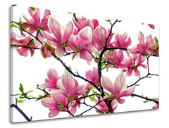 Dipinto murale FIORI | varie dimensioni