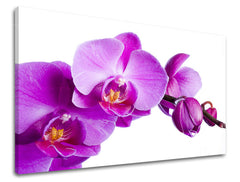 Dipinto murale FIORI | varie dimensioni