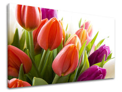 Dipinto murale FIORI DI TULIPANO | varie dimensioni