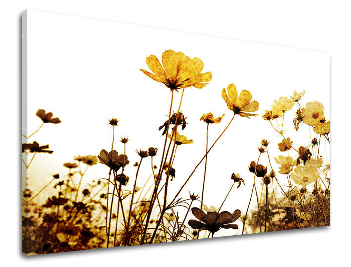 Dipinto murale FIORI | varie dimensioni