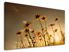 Dipinto murale FIORI | varie dimensioni