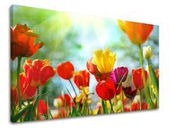 Dipinto murale FIORI DI TULIPANO | varie dimensioni