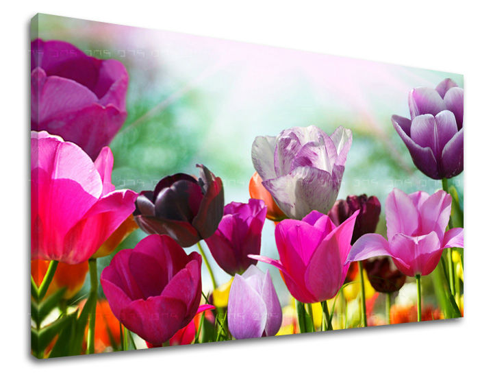 Dipinto murale FIORI DI TULIPANO | varie dimensioni