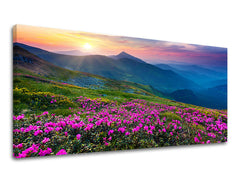 Pittura murale PANORAMA SLOVACCHIA