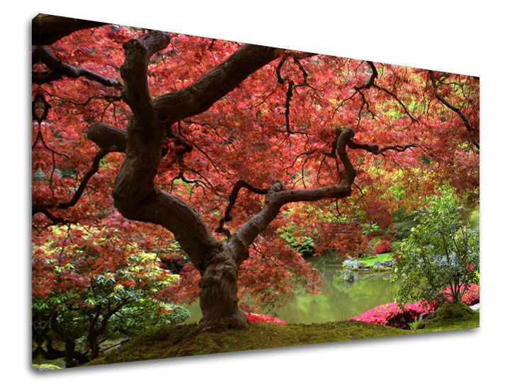 Pittura murale ALBERI | varie dimensioni