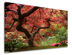 Pittura murale ALBERI | varie dimensioni