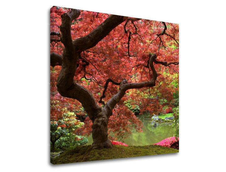 Pittura murale TREES