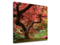 Pittura murale TREES