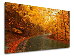 Pittura murale ALBERI | varie dimensioni