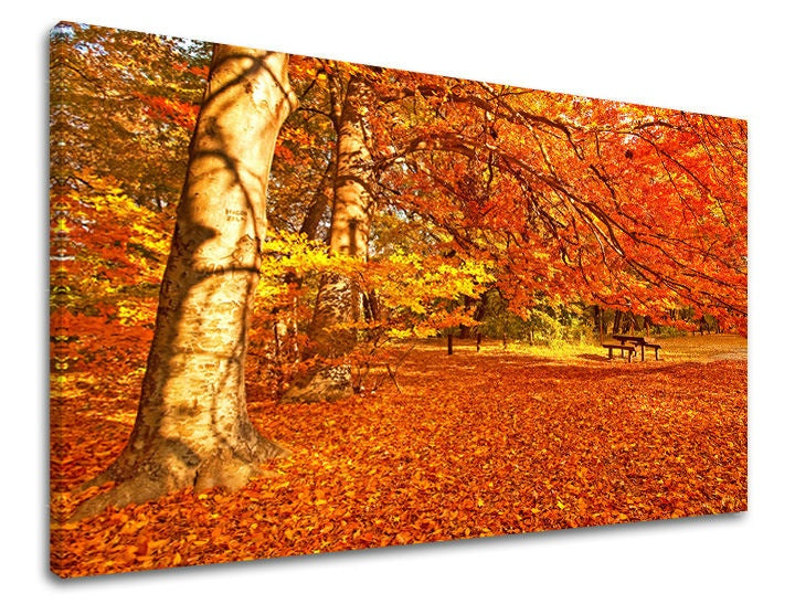 Pittura murale TREES