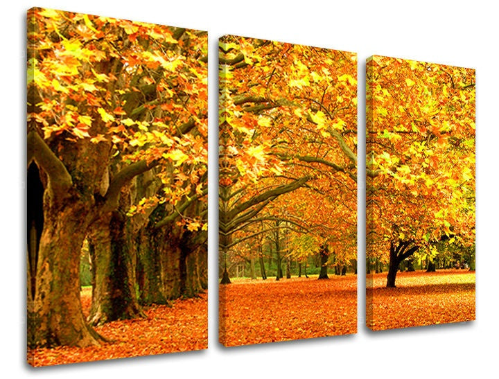 Pittura murale in 3 parti TREES