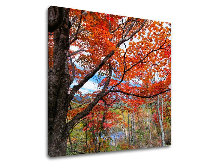 Pittura murale TREES
